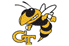 Yellow Jackets