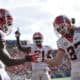 Georgia Bulldogs