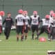 Georgia Bulldogs