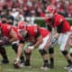 Georgia Bulldogs
