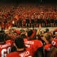 Georgia Bulldogs