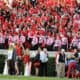 Georgia Bulldogs
