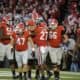 Georgia Bulldogs