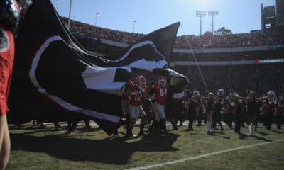 Georgia Bulldogs