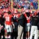Georgia Bulldogs