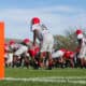 UGA Football