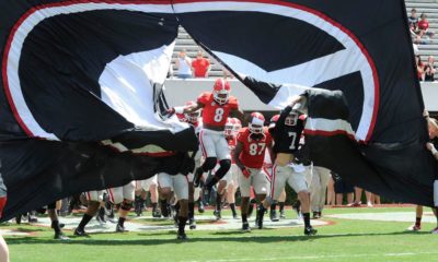 Georgia Bulldogs