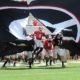 Georgia Bulldogs