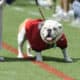Uga IX