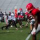UGA Football