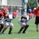 UGA Football