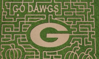 UGA Corn Maze