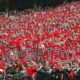 UGA Football