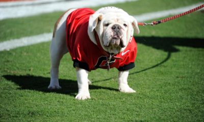 Uga IX