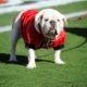 Uga IX