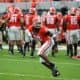 UGA Football