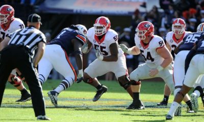Georgia Bulldogs