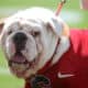 Uga IX