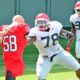 UGA Football