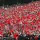 UGA Football