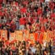 Dawg Nation