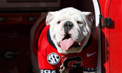 Georgia Bulldogs