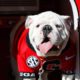 Georgia Bulldogs