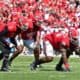 Georgia Bulldogs
