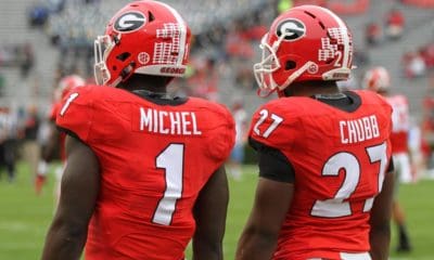 Sony Michel-Nick Chubb