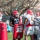 UGA Football