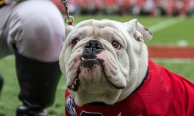 Uga X