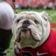 Uga X