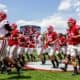 Georgia Bulldogs