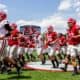 Georgia Bulldogs