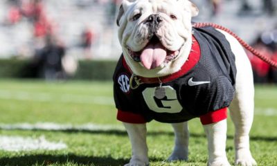 Georgia Bulldogs