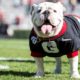 Georgia Bulldogs