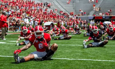 Georgia Bulldogs 2017