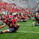 Georgia Bulldogs 2017