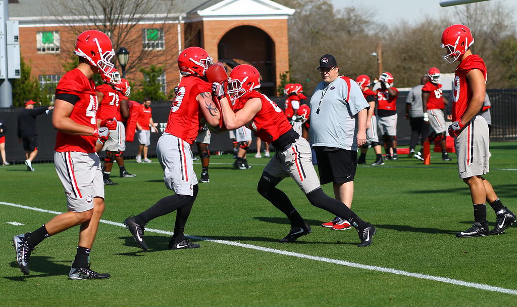 UGA Football: Roster