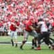 Georgia Bulldogs