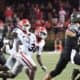 Georgia Bulldogs