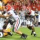 Georgia Bulldogs
