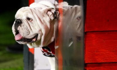 Georgia Bulldogs