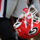 Georgia Bulldogs