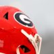 Georgia Bulldogs