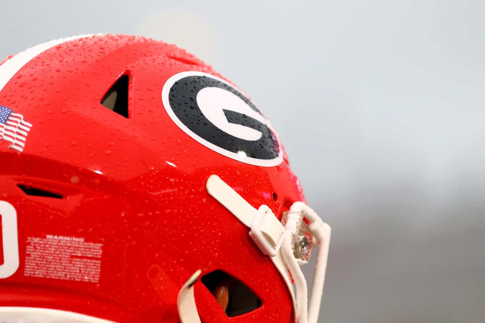 Georgia Bulldogs