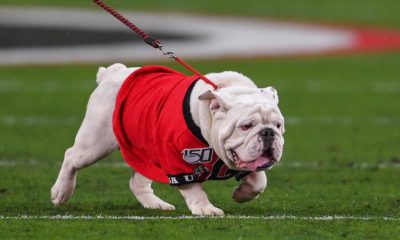 UGA Football