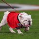 UGA Football