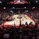 UGA Basketball