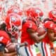 Georgia Bulldogs